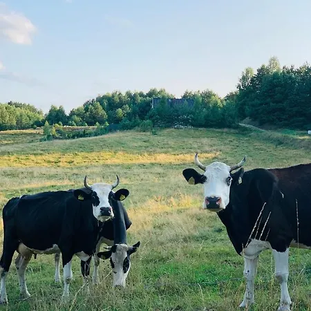 Ferienhaus Na Kaszubach - Golubie - Sikorska Dolina I *