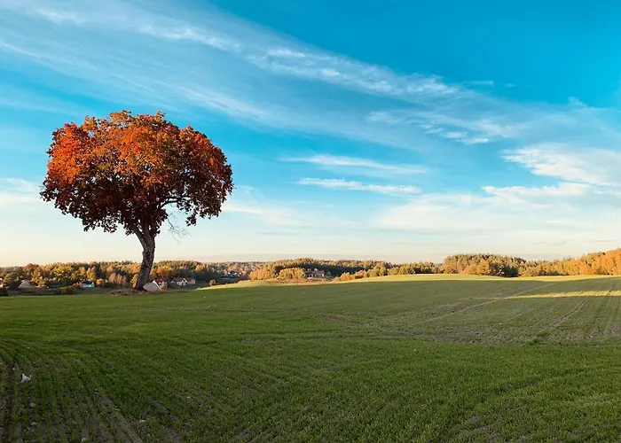 Prázdninový dům Na Kaszubach - Golubie - Sikorska Dolina I Stara Sikorska Huta