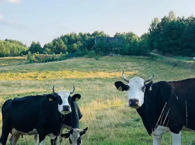 Prázdninový dům Na Kaszubach - Golubie - Sikorska Dolina I *