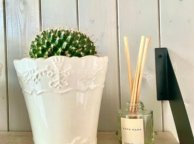 Na Kaszubach - Golubie - Sikorska Dolina I Prázdninový dům